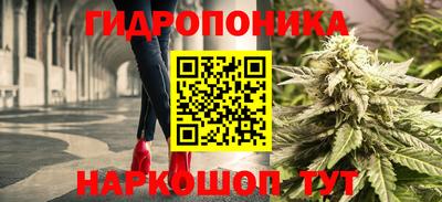 дживик Кинель