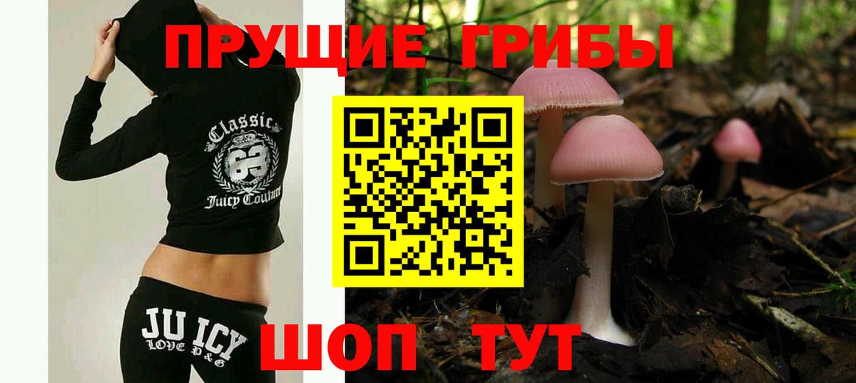 Балтийск  Галлюциногенные грибы мицелий  Вход с VPN  Псилоцибиновые грибы ЛСД 